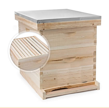 Organic Honey